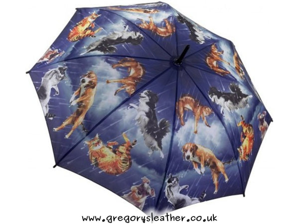 Raining Cats & Dogs Stick Umbrella by Galleria